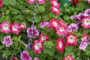 Similar image 21137794