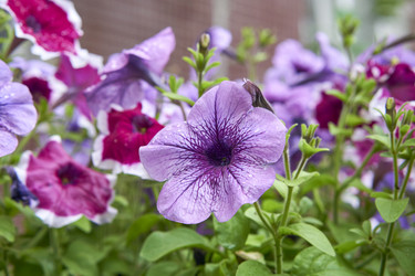 Similar image 21137795