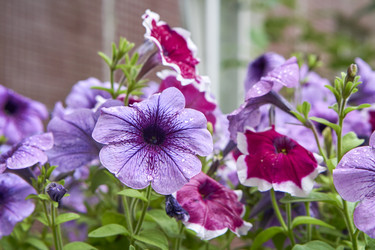 Similar image 21137796