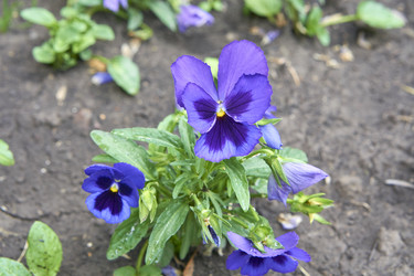 Similar image 21137798