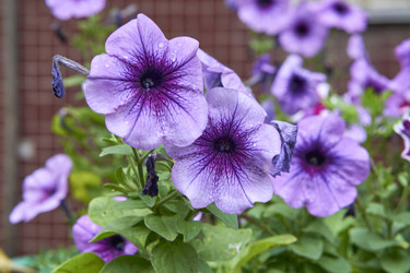 Similar image 21137799