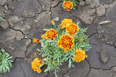 Similar image 21137802