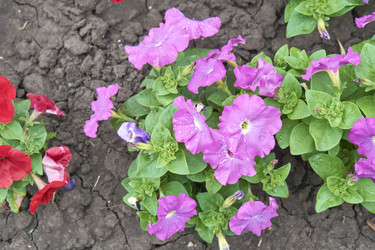 Similar image 21137805