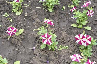 Similar image 21137807