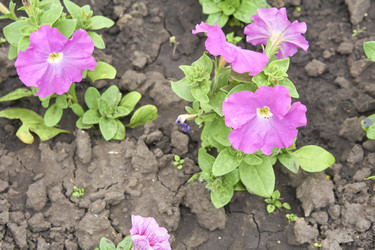 Similar image 21137808