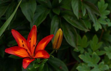 Similar image 21171908