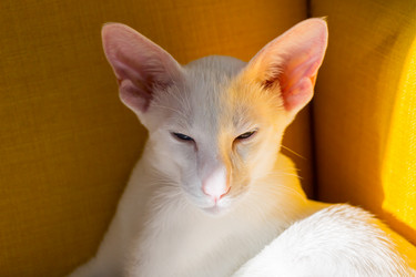 Similar image 21137963