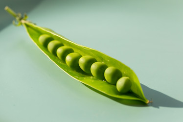 Similar image 21137964