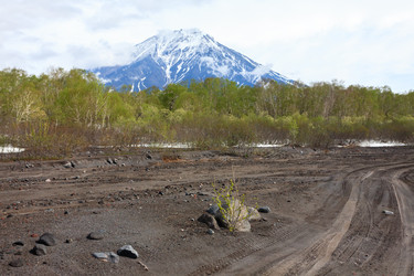 Similar image 21137985