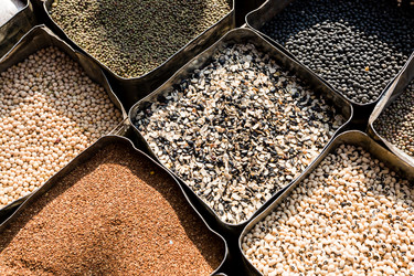 Similar image 21137988