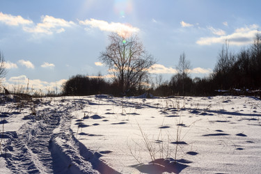 Similar image 21137992