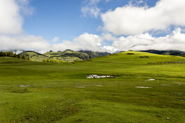 Similar image 21137993