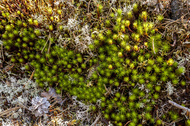 Similar image 21137996