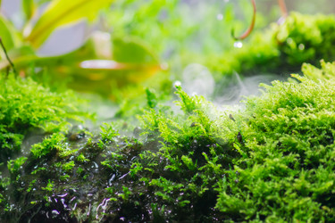 Similar image 21165998