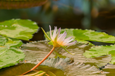 Similar image 21166005