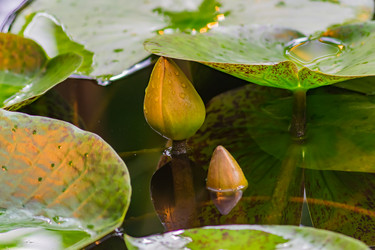 Similar image 21166007