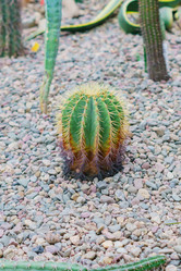 Similar image 21166011