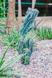 Similar image 21166013