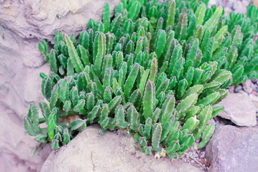 Similar image 21166015