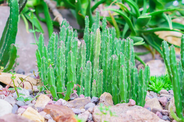 Similar image 21166018