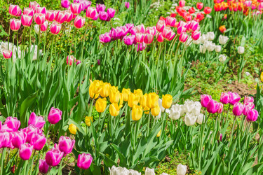 Similar image 21166019