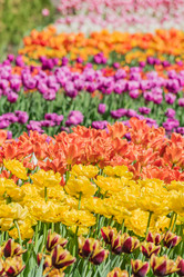 Similar image 21166020