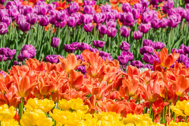 Similar image 21166021