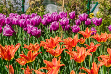 Similar image 21166022