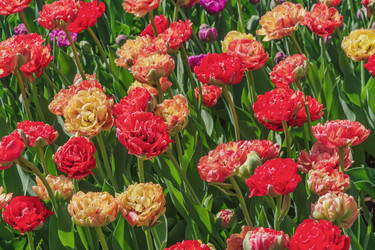 Similar image 21166024