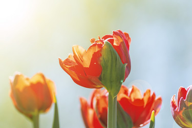 Similar image 21166025