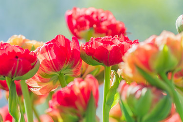 Similar image 21166027