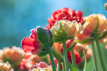 Similar image 21166028