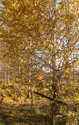 Similar image 21139518