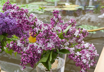 Similar image 21139218