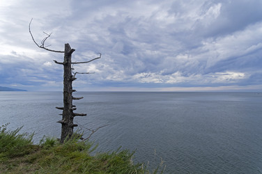 Similar image 21139229