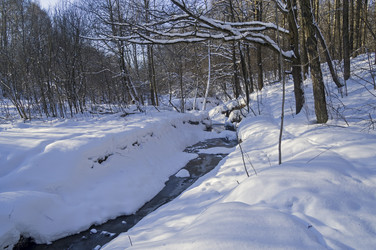 Similar image 21139239