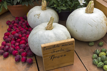 Similar image 21139240