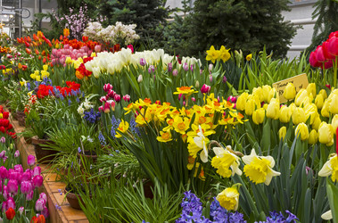 Similar image 21139241