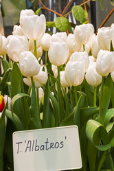 Similar image 21139243