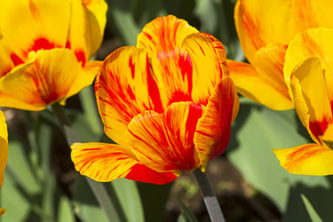 Similar image 21139244