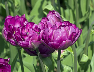 Similar image 21139245