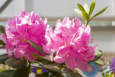 Similar image 21139247