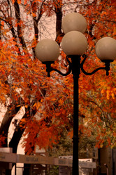 Similar image 21150237