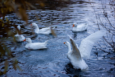 Similar image 21148189