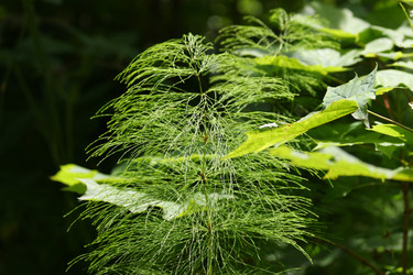 Similar image 21139519