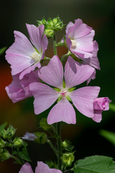 Similar image 21139520