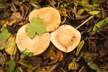 Similar image 21139543