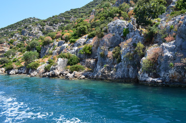 Similar image 21154218