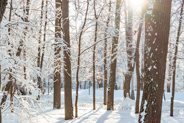 Similar image 21166063