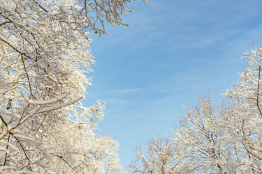 Similar image 21166064